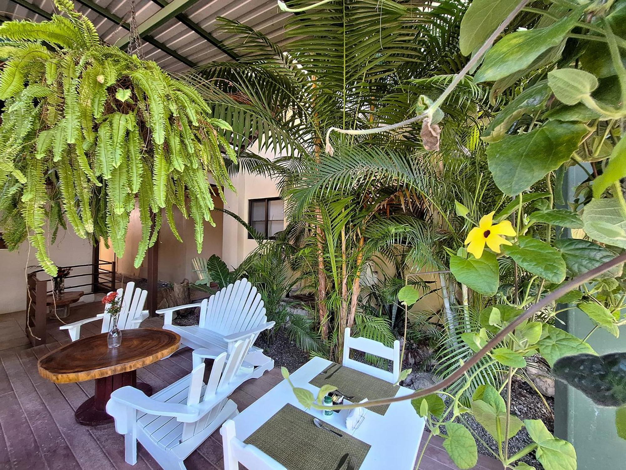 Infiniti Hotel Puerto Viejo de Talamanca Eksteriør billede