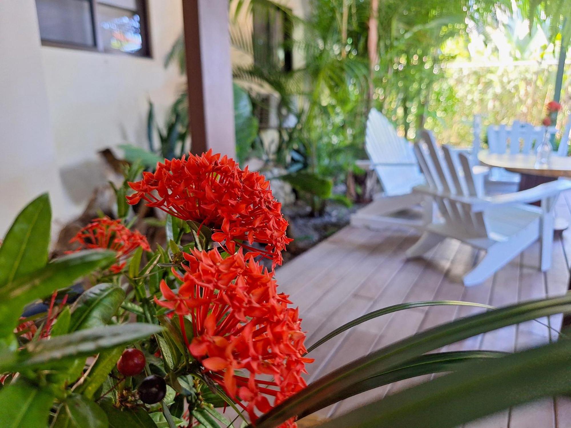 Infiniti Hotel Puerto Viejo de Talamanca Eksteriør billede